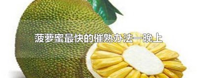​切开的半个菠萝蜜怎么催熟 切开的菠萝蜜怎么催熟催几天