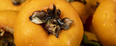 ​柿子里面有密密麻麻黑点可以吃吗 柿子里面有密密麻麻黑点可以吃吗视频讲解