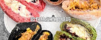 ​低脂欧包热量高吗 减脂欧包热量高吗