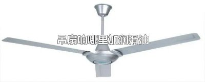 ​吊扇怎么样加润滑油 吊扇嘎吱响涂什么油