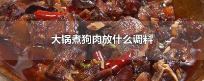 ​炖狗肉用啥大料 煮大块狗肉放什么调料
