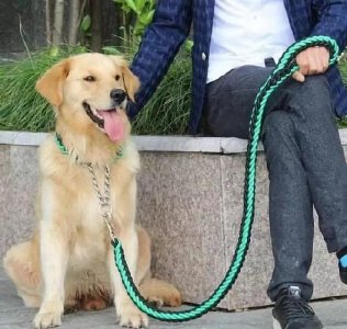 ​溜狗和遛狗的区别（溜达和遛狗的遛一样吗）