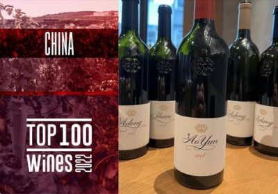 ​蓝酒庄葡萄酒价格查询(蓝赛酒庄墨研葡萄酒价格)