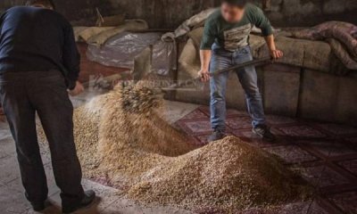 ​酿酒配糟下次怎么办？酿酒没有配糟怎么办