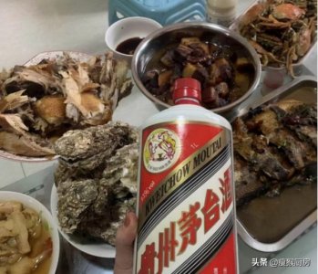 ​沱牌特曲50度多少钱一瓶_沱牌特曲50度多少钱一瓶