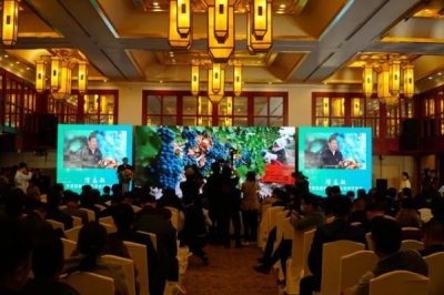 ​南京葡萄酒生产厂家有哪些？南京葡萄酒公司