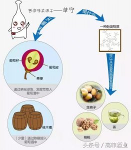 ​干红的味道苦吗(干红味道太难喝了)