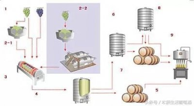 ​喝啤酒过敏喝红酒会过敏吗(喝红酒过敏怎么办怎样处理才能好)