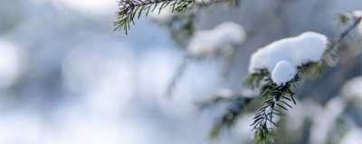 ​关于冬至的诗句古诗