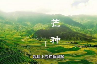 ​芒种要做什么事情（芒种需要注意的问题）