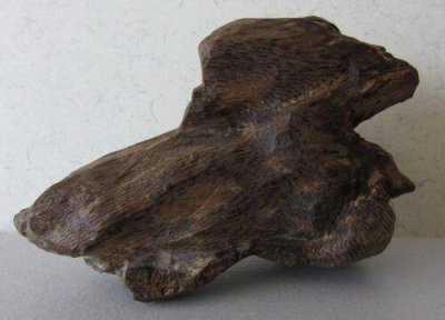 ​正宗奇楠沉香产自哪里（奇楠沉香分布在哪些地方）