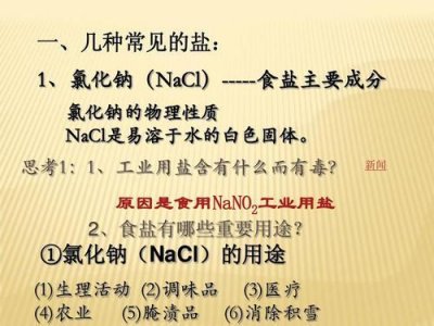 ​食盐的主要成分是什么化学式