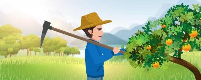 ​剥好的柚子第二天可以吃吗