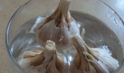 ​在家里怎样种大蒜，超容易