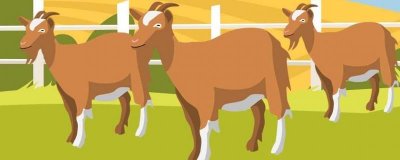 ​羊蹄筋的营养价值及营养成分