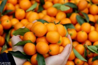 ​金桔怎么吃最营养 金桔的功效与禁忌