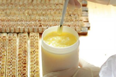 ​蜂王浆可以美容养颜吗 蜂王浆怎么美容好