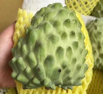 ​原来佛头果也叫凤梨释迦，你知道为什么吗？