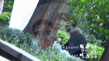 不愧是卓伟点名娱乐圈最干净的女明星，真正诠释了人美心善四个字