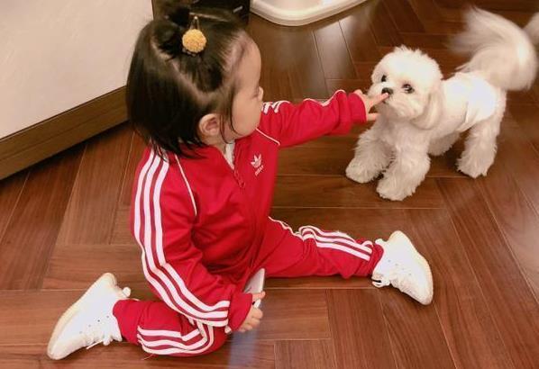 陈赫晒女儿的背影照,799元鞋子接地气,亲自设计定制父爱满满