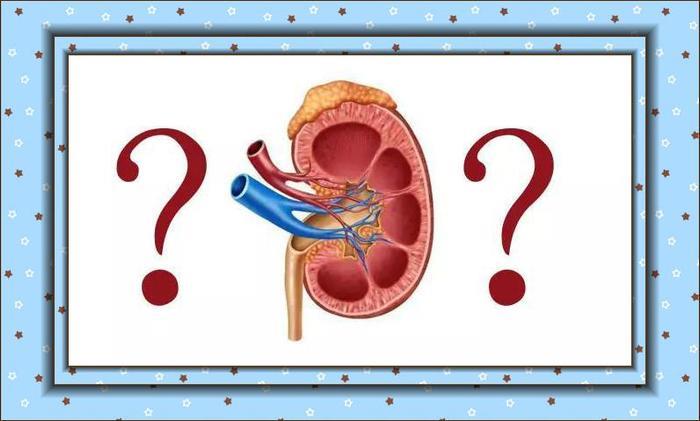 当年割肾买苹果手机，现在这个90后告诉你，少一个肾会怎么样？