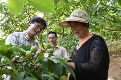 ​村官是“官”吗？大学生村官有前途吗？待遇怎么样？