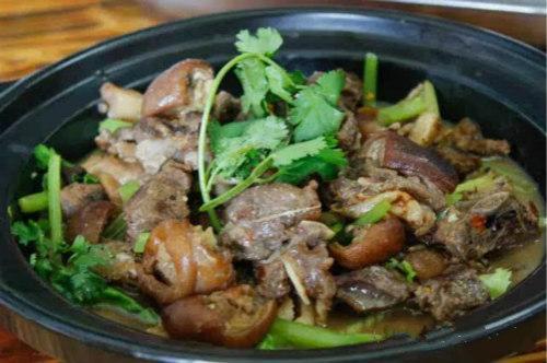 广东人说，猫肉这样做细嫩甜口堪比兔肉，喵喵这么可爱怎么能吃它