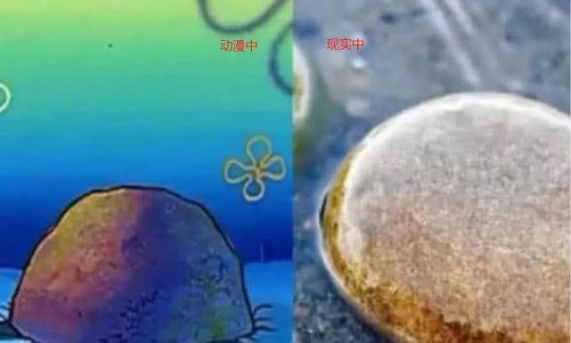 海绵宝宝中的房子,原来现实中真的存在,最后一张神还原