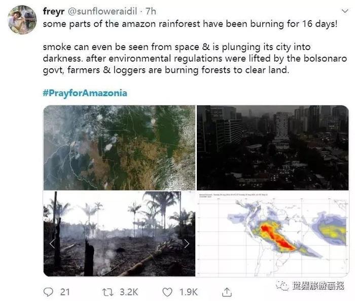 亚马逊雨林大火连烧三周 城市白天宛如黑夜！巴西总统：正常操作