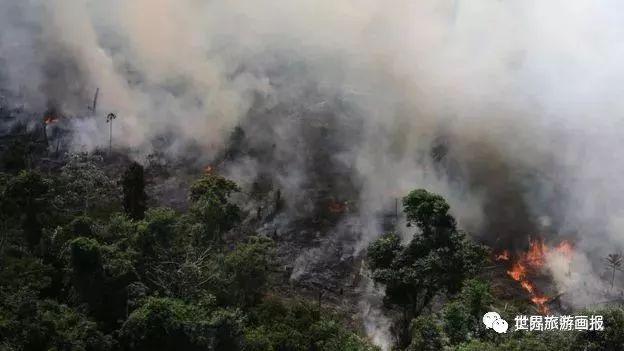 亚马逊雨林大火连烧三周 城市白天宛如黑夜！巴西总统：正常操作