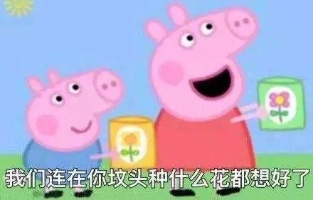 小猪佩奇凭什么这么火?知道真相的我眼泪掉下来....