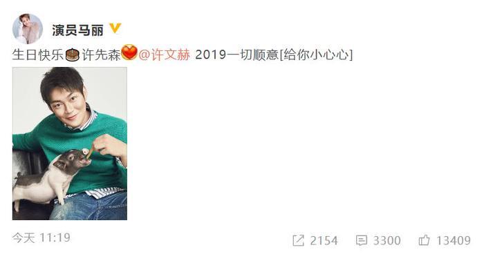 马丽晒照为老公庆生,揭秘36岁马丽与小11岁许文赫的婚姻生活