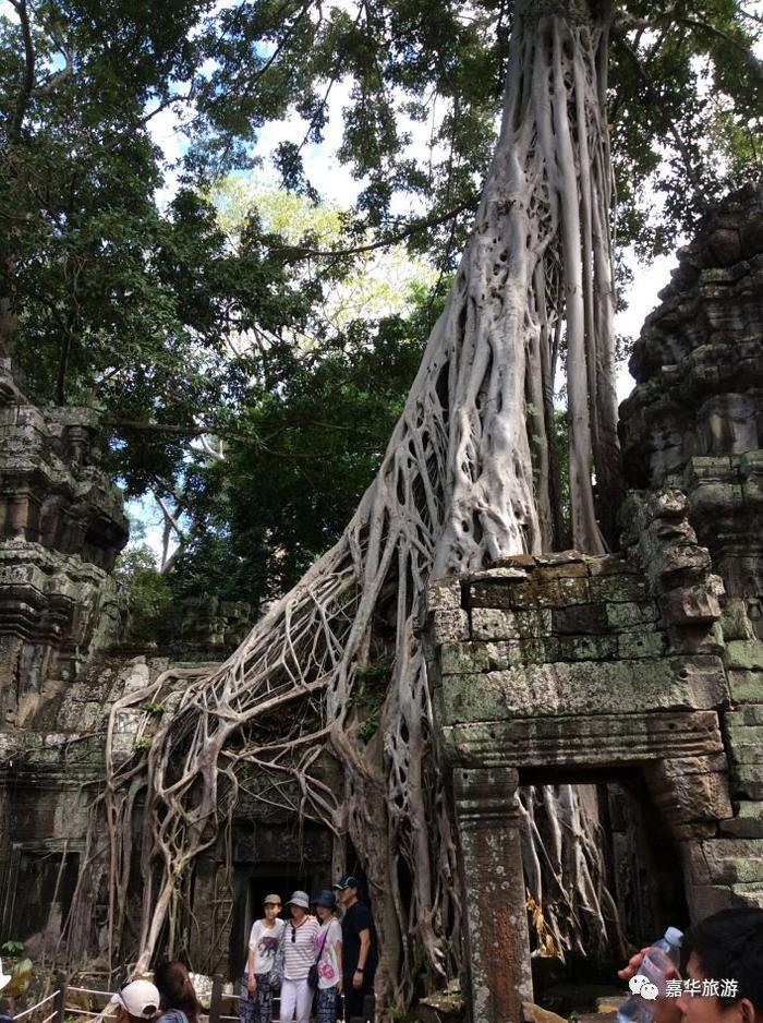 无文化，不吴哥！一生必去的旅行地！