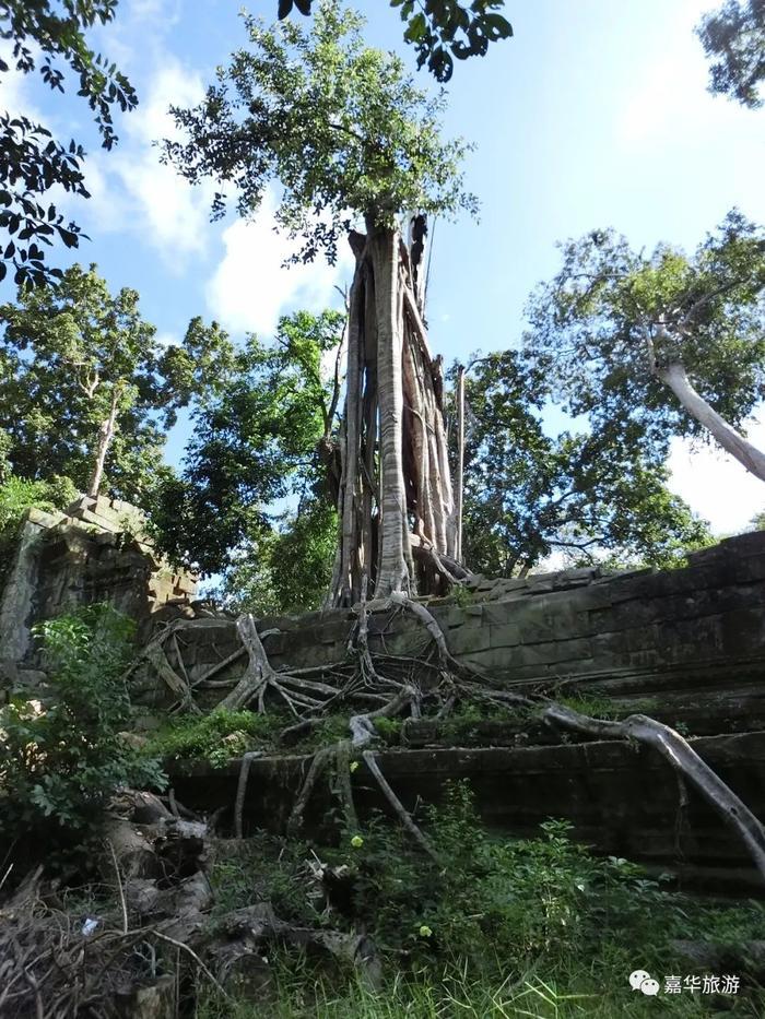 无文化，不吴哥！一生必去的旅行地！