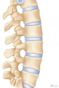 ​有的人活着，他们的腰椎已经“死”了