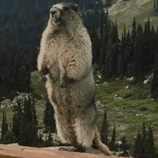 【分享】春季防火小知识,赶紧get起来!