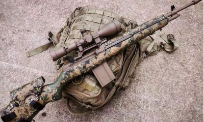 ​M14步枪的前世今生，可以说是充满了坎坷？一场战争让其颜面尽失