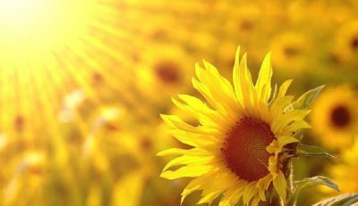 ​白羊座：让我们红尘作伴，活得潇潇洒洒