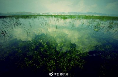 ​贵州这片草海位于海拨2200米的威宁县，是独具灵气的高原淡水湖泊