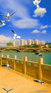 ​绿色养眼风景景壁纸美图