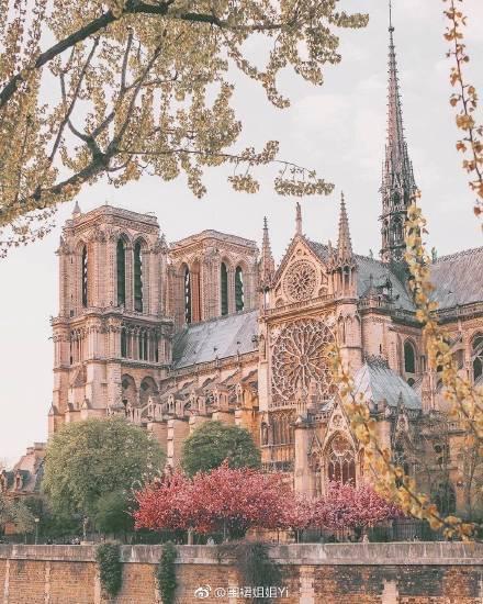 卡西莫多失去了心爱的姑娘,终究也失去了他心爱的钟楼