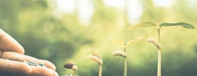 ​单人被套纯棉被套是全棉好还是涤棉好