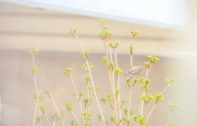 ​四出风吸顶式空调尺寸吊顶式空调尺寸重要有哪些