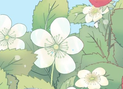 ​最能够获得女人信任的，不是“相信我”，而是这四句话