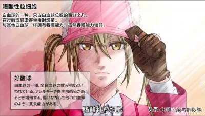 ​《工作细胞》学习笔记（五）-嗜酸性粒细胞&嗜碱性粒细胞