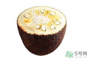 菠萝蜜剥开后怎么保存?剥好的菠萝蜜怎么保存?