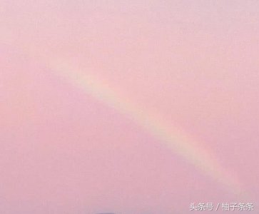 ​抖音九句最火土味情话：“明人不说暗话，我中意你”