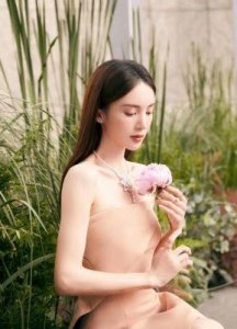 ​《北辙南辕》金晨角色分析：如何与男主演韩庚、郑业成等对手戏精彩互动