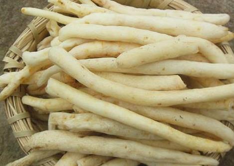 沙参不能和什么一起吃 相克食物