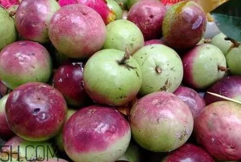 牛奶果什么味道 牛奶果可以吃吗 牛奶果什么味道 牛奶果可以吃吗